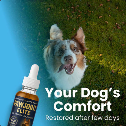 PawJoint Elite - Hip Joint Support