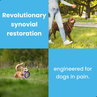 PawJoint Elite - Hip Joint Support